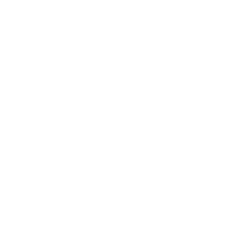 WSG Paragon