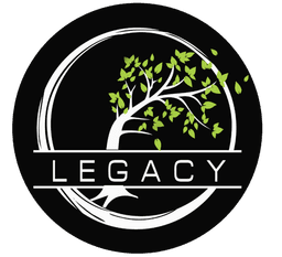 Legacy Esports(overwatch)