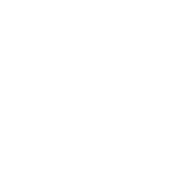 Hashira(valorant)