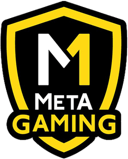 Meta Gaming(valorant)