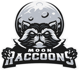 Moon Raccoons Black(valorant)