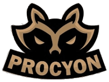 Procyon Team(valorant)