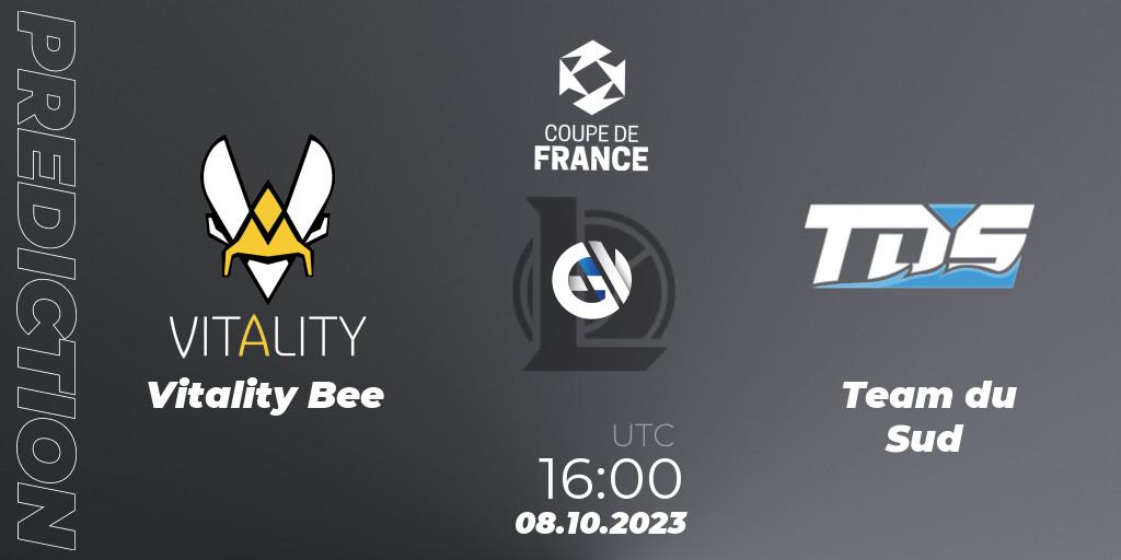 Vitality Bee проти Team du Sud: Поради щодо ставок, прогнози на матчі. 08.10.2023 at 16:00. LoL, Coupe de France 2023
